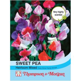 Sweet Pea Heirloom Bicolour Mix Seeds